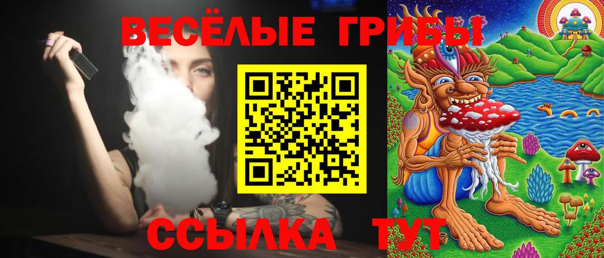 Псилоцибиновые грибы GOLDEN TEACHER  Вход с VPN  Чехов 