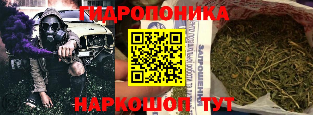 МАРИХУАНА конопля Чехов